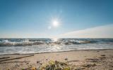 mb307555_palmer_ort_naturstrandjpg-5f06b2e573319