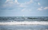 mb7_5369_goos_dranske_kueste-5f6a1198cbe42